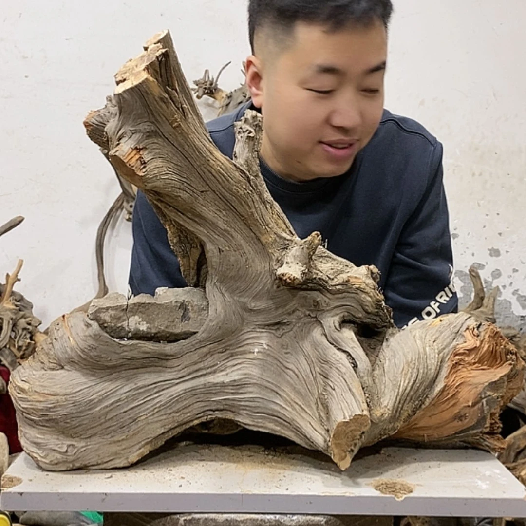 【闪购商品】柏木不****头我们都是好孩子