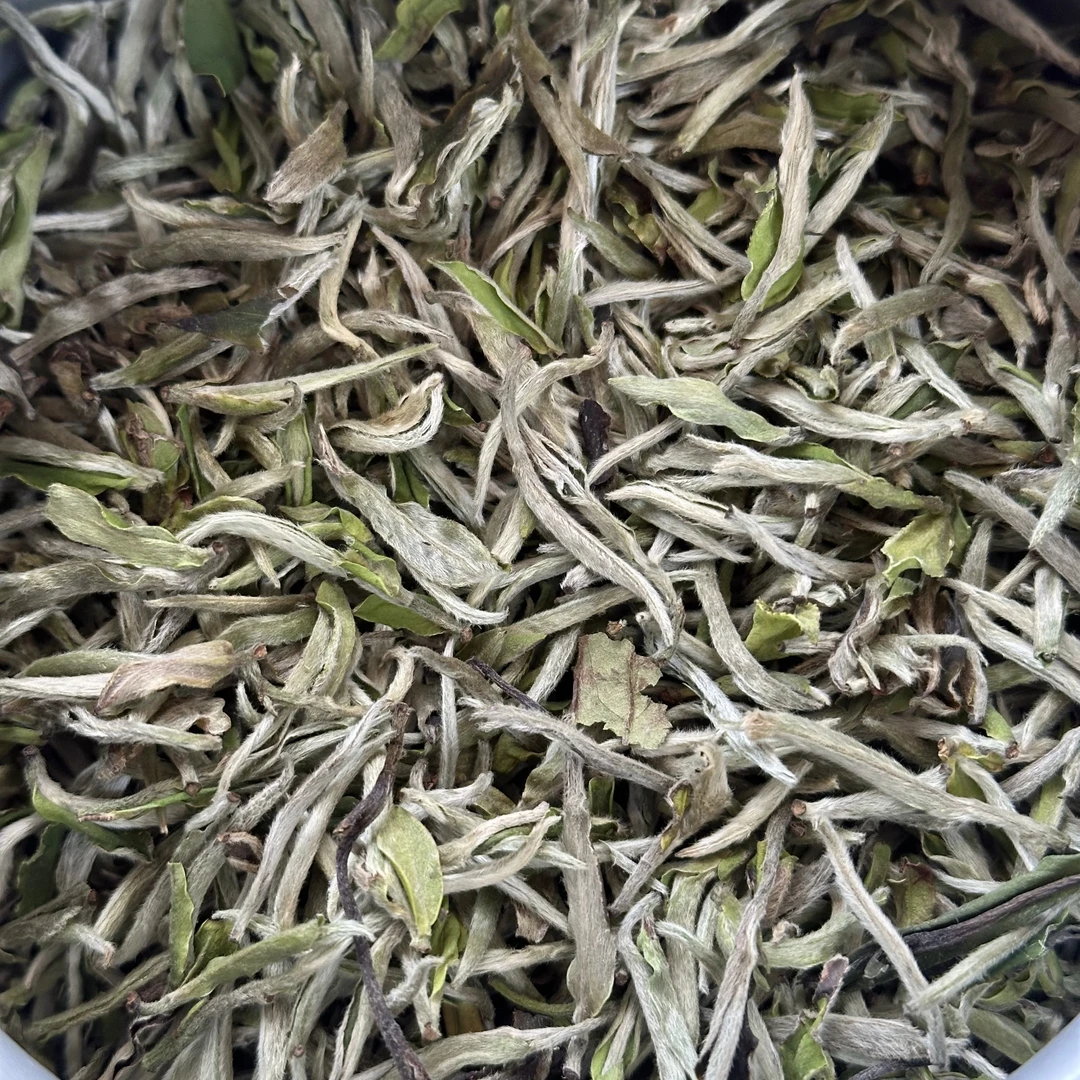 【2025年白毫银针】福建高山头春头采白毫银针 一斤福利