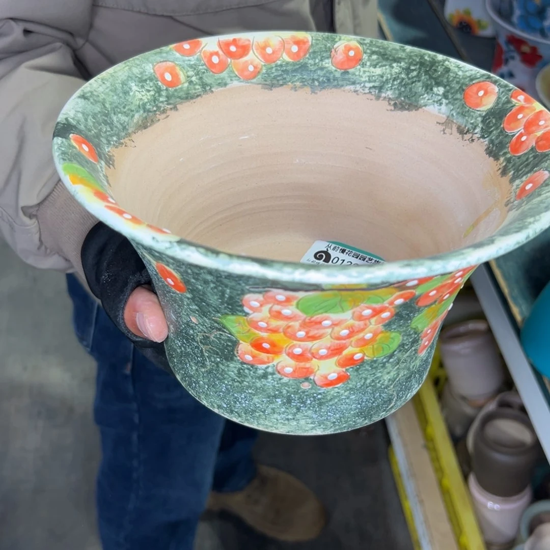 飞**天多肉精选编号0122.211