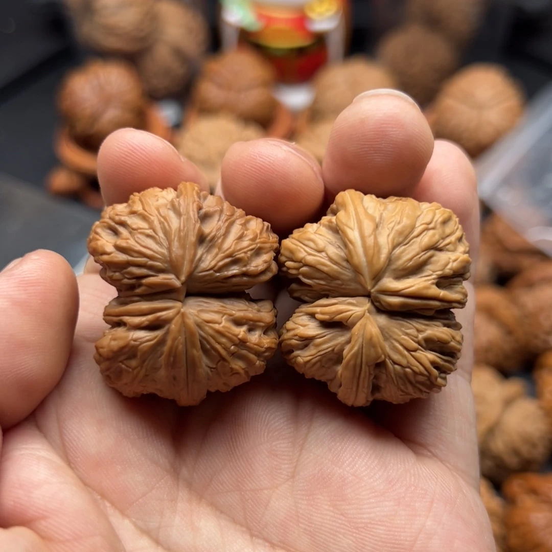 文玩核桃把件白狮子球连