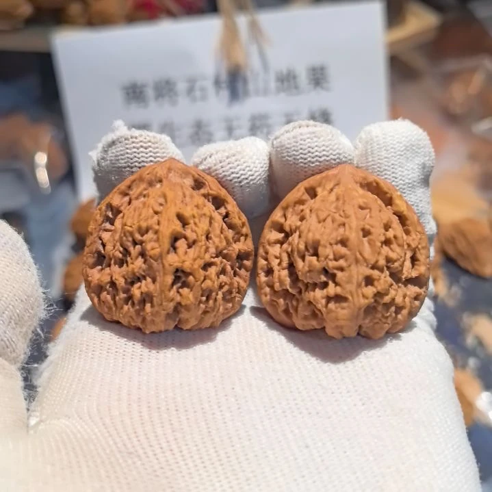 榴***莲涛子南将石直播拍