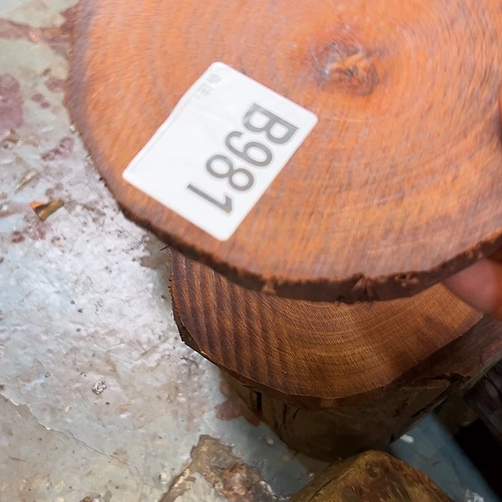 血檀一物一拍981