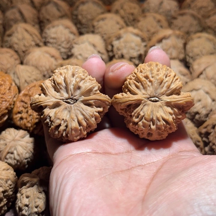 核桃手串/手链周*南疆43尺寸