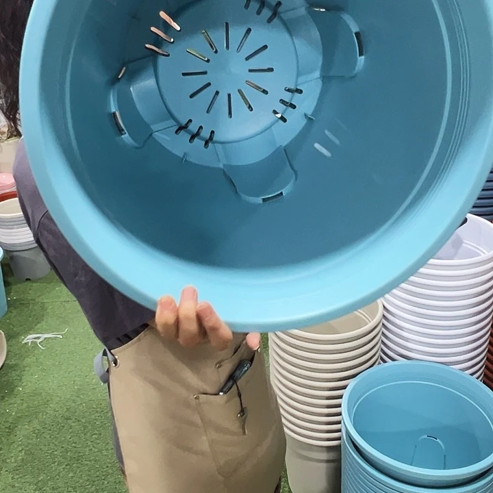 正品圆形控根口37.5高34蓝色无托3只