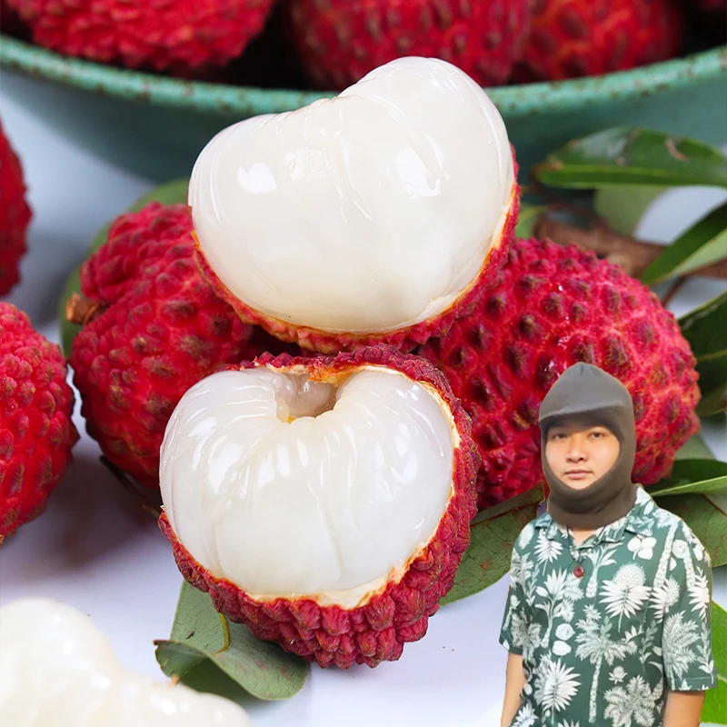 海南火山荔枝王1-4.5斤新鲜特大果荔枝多仓发货