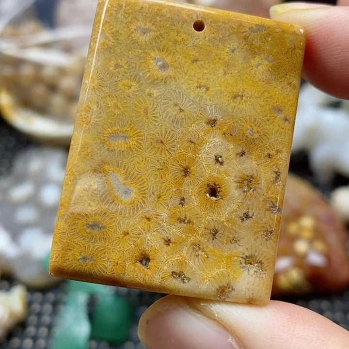 硅化珊瑚（珊瑚玉）颈饰未镶嵌