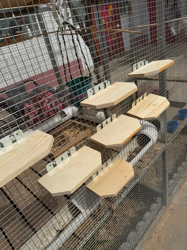 新款实木站架 挂钩 不挂钩 结实