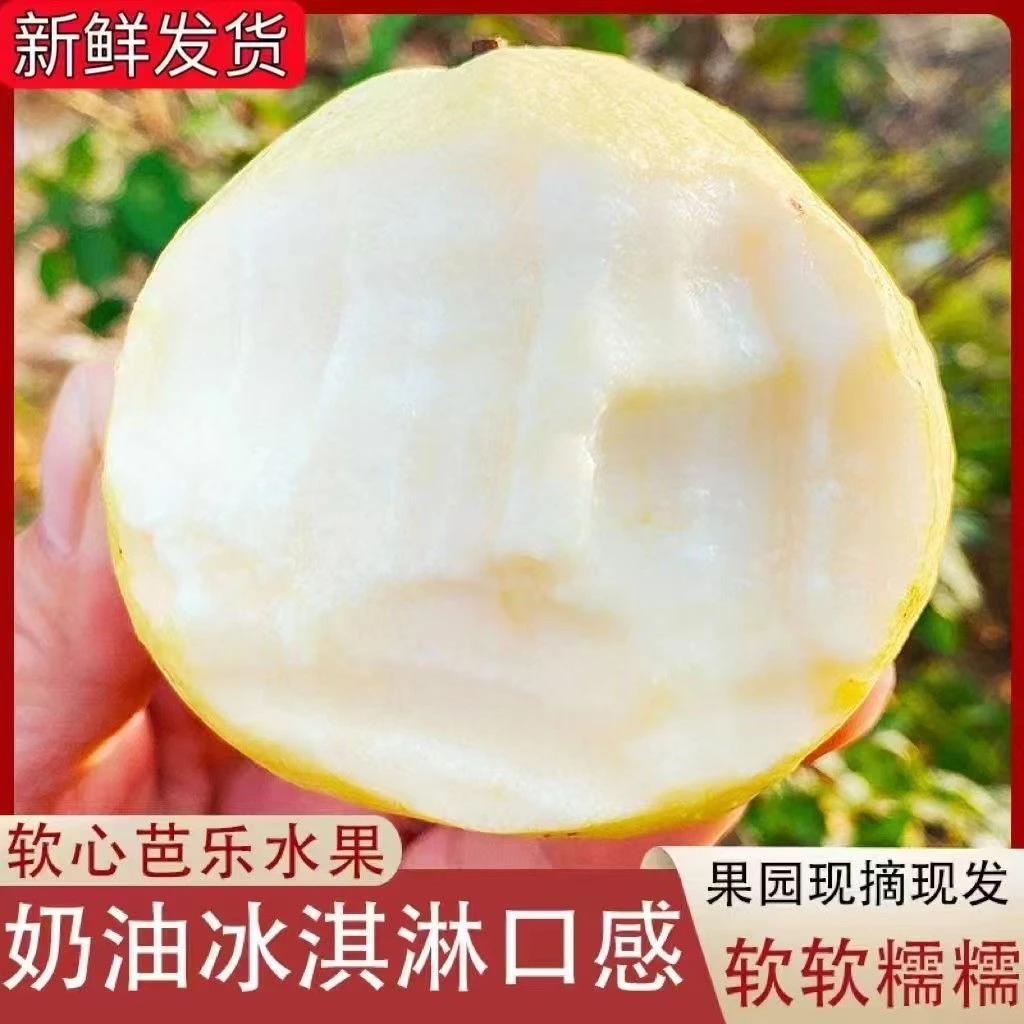 【奶油大果】广西新鲜奶油芭乐白心红心双拼软糯香甜当季水果包邮