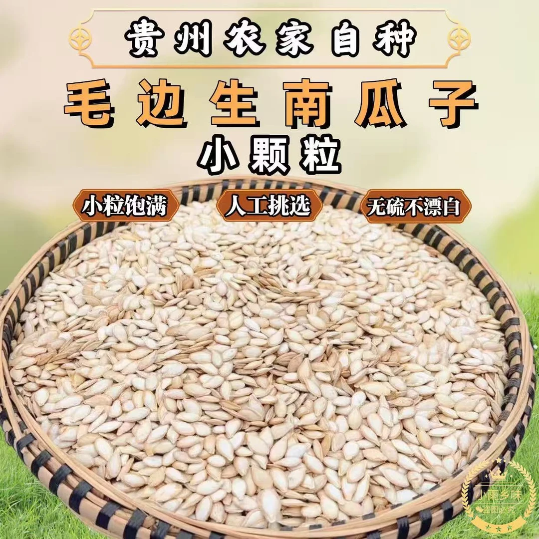 贵州小南瓜子农村自种新鲜原味毛边南瓜子小颗粒带壳原味25年新货