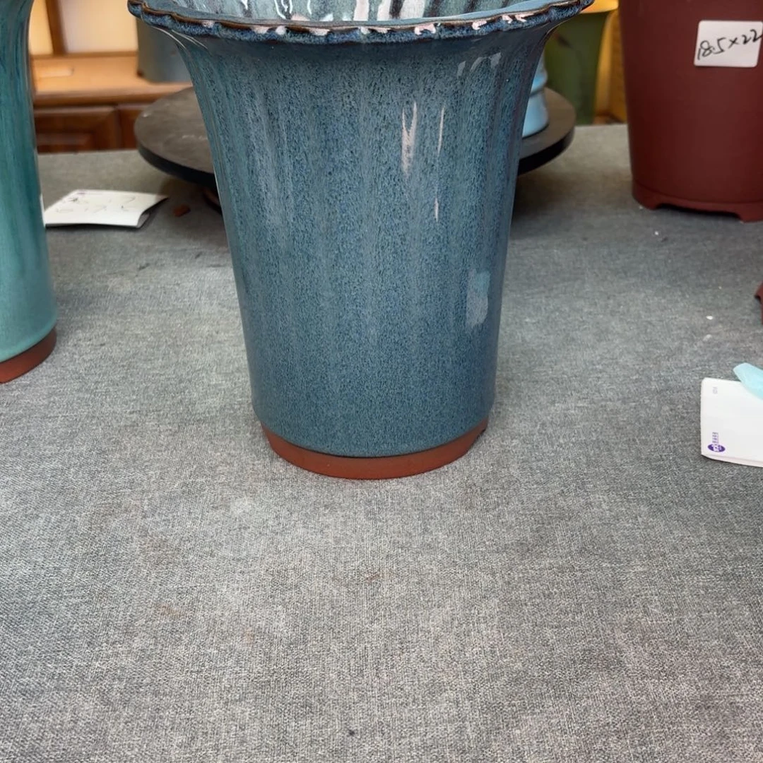 挚***！花盆紫砂兰花458858869869899