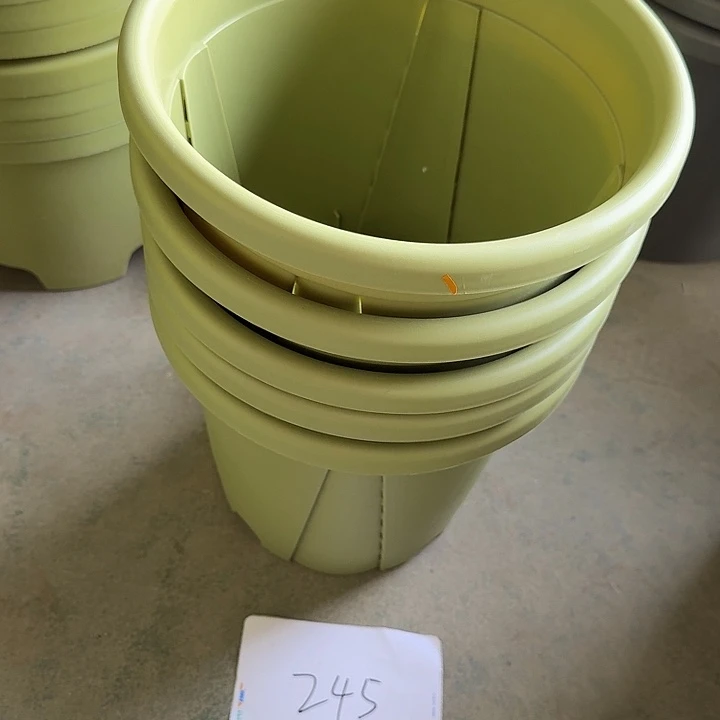 编号245特价5个无托