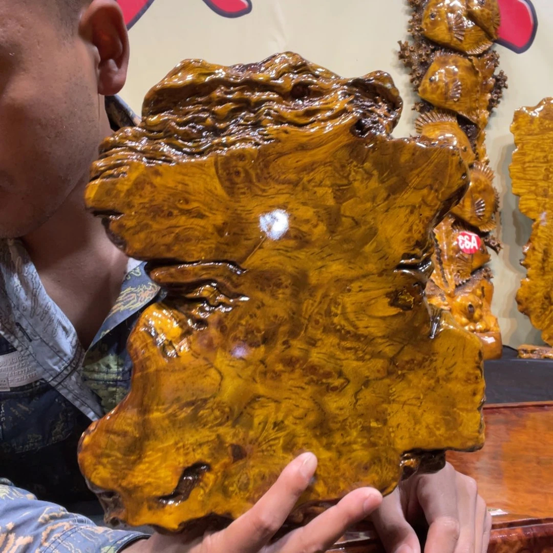 缅甸黄金樟树瘤工