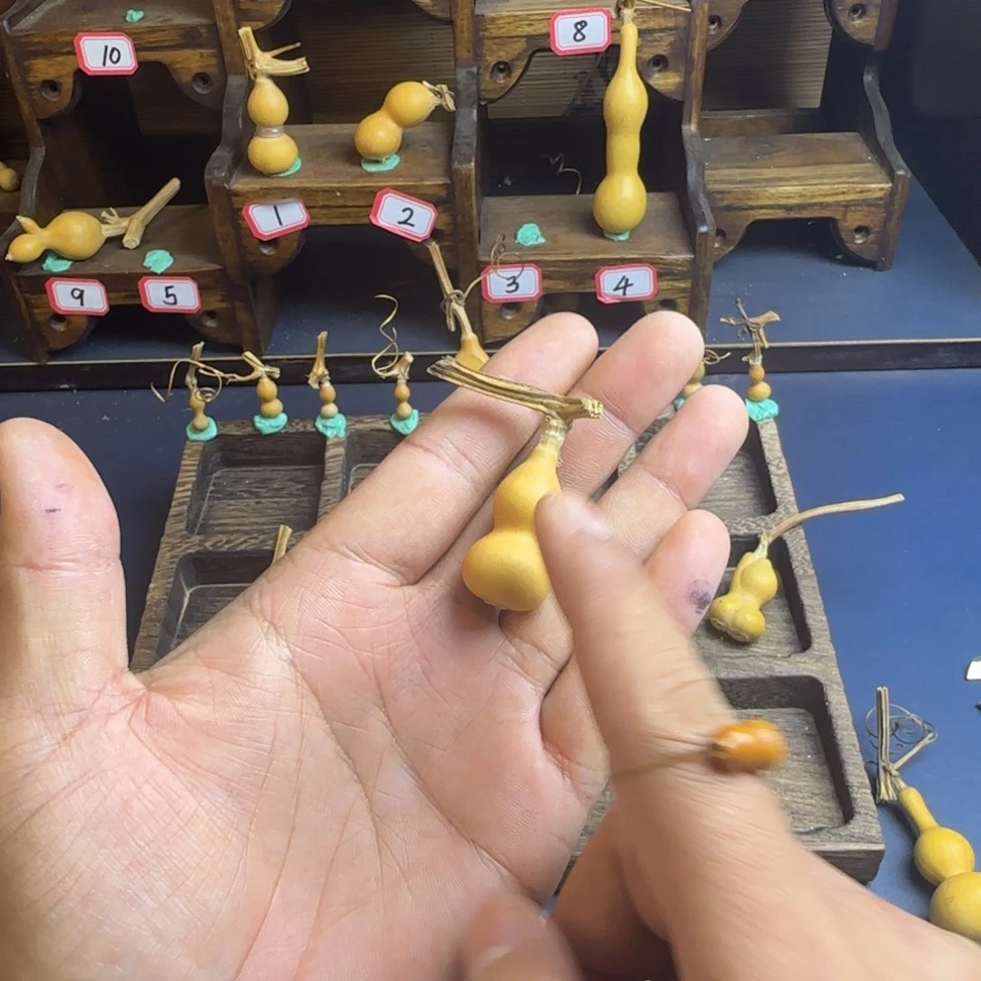 B****猩我是一只小小鸟地域鬼的人都