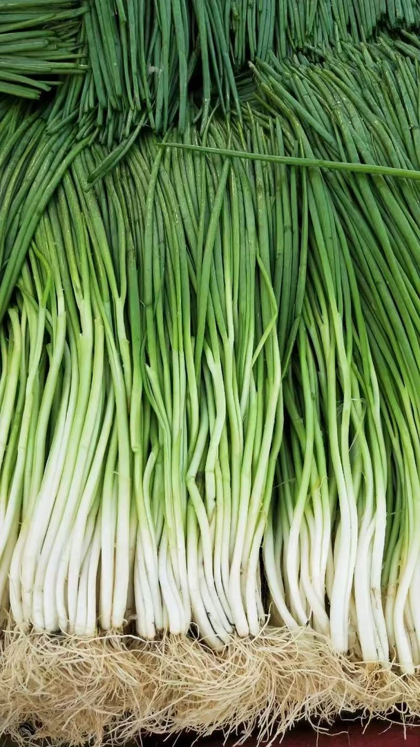 香葱200g±10g/份