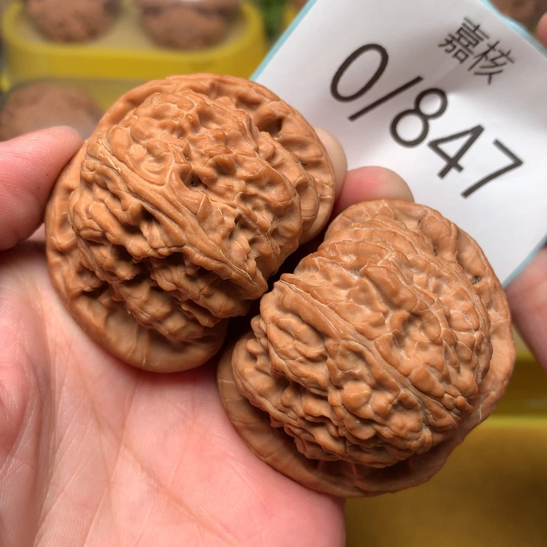 文玩核桃把件毕业粗筋红皮闷白47