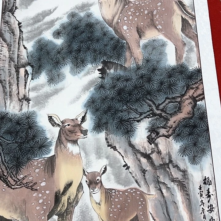 横款新人直播，放大漏……