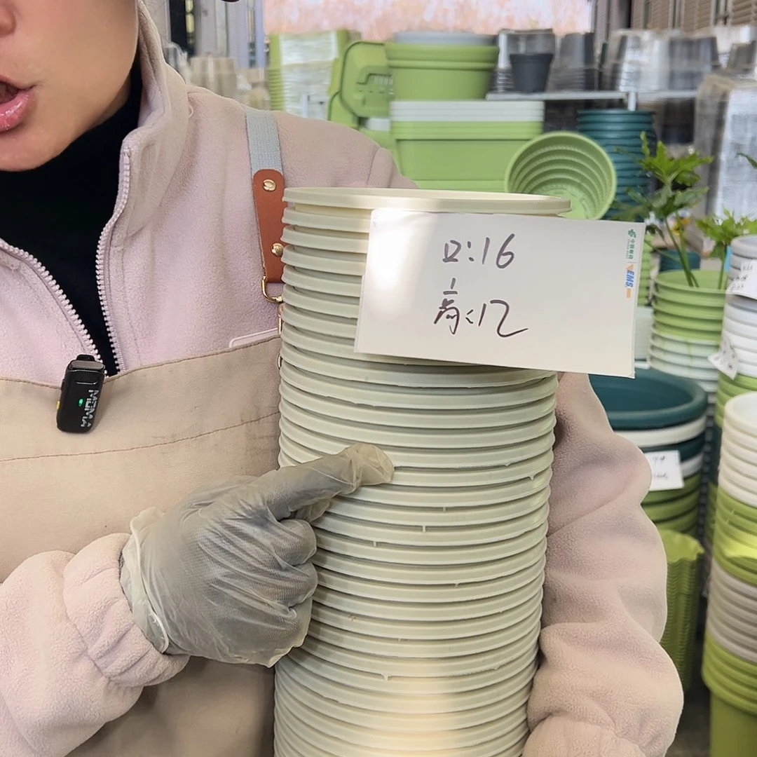 瑕疵矮胖1#米白色20个无托