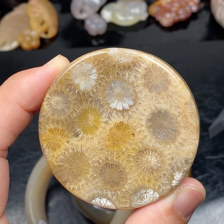 硅化珊瑚（珊瑚玉）手镯未镶嵌Q**Y