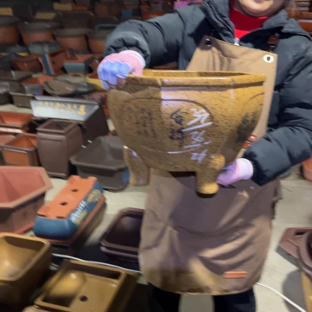 紫砂花盆盆景艺术