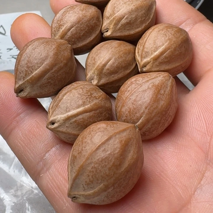 人***员手串/手链橄榄核橄榄核2.1