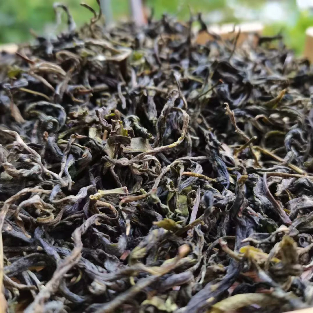 云南滇绿老树绿茶
