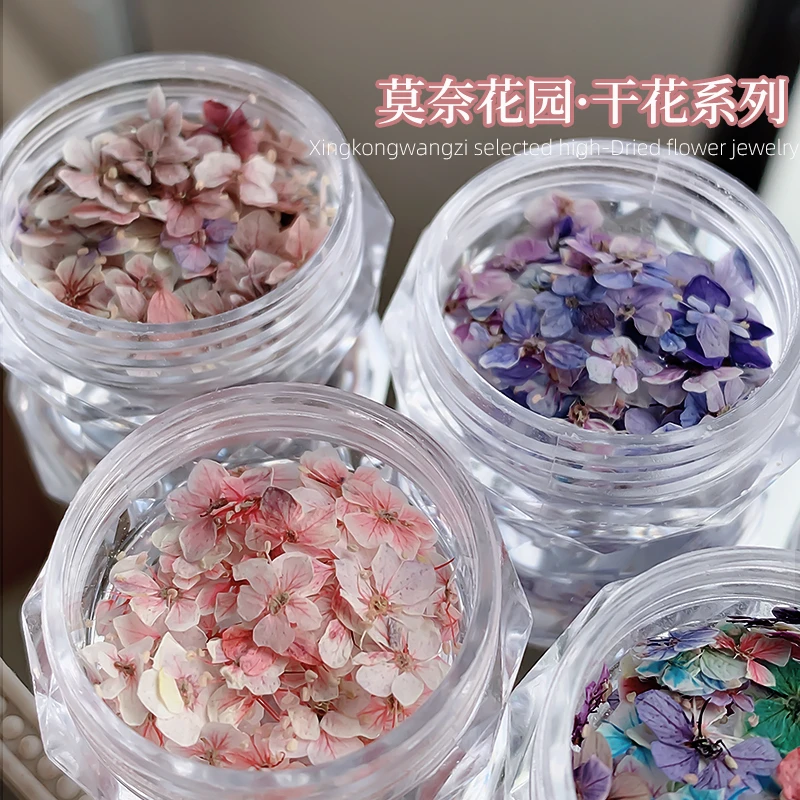美甲干花混装素材莫奈花园迷你五瓣花材料紫色小碎花diy指甲饰品