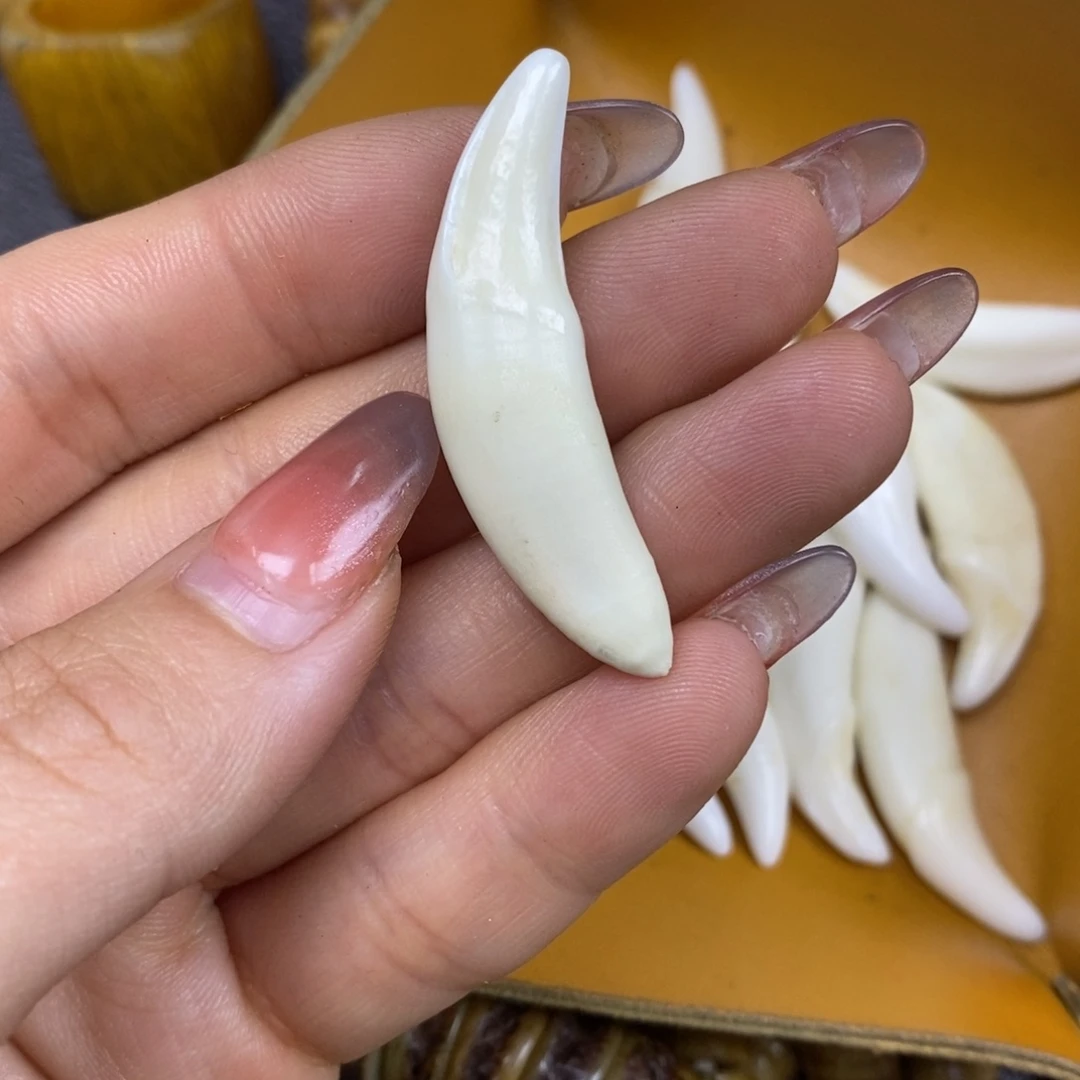 手串/手链驼骨配饰167