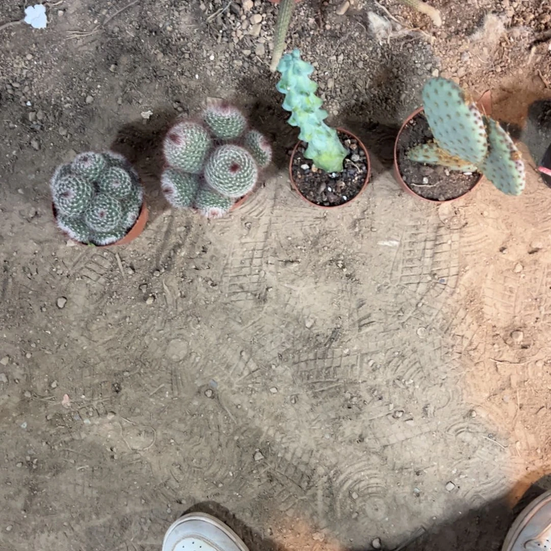 江****哈哈哈哈哈哈哈哈哈哈