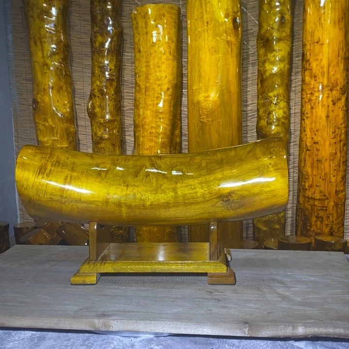 金丝楠猎*四川雅安小叶桢楠