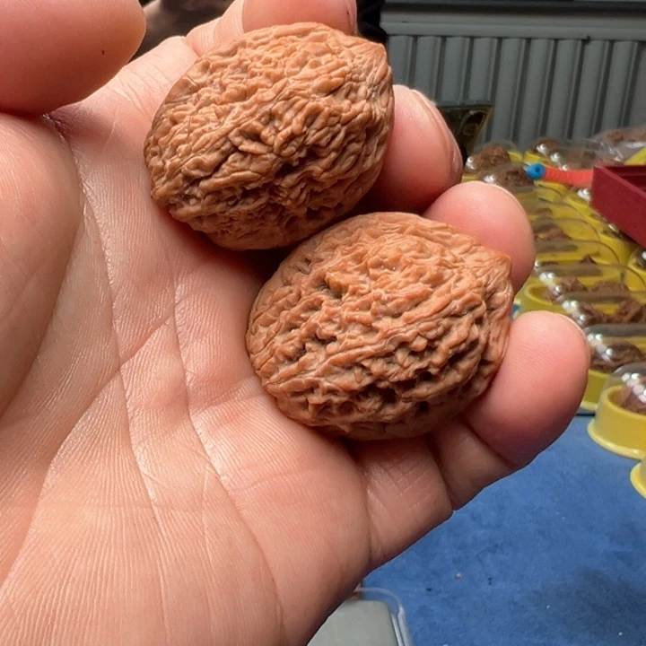 文玩核桃把件全品大蒜头