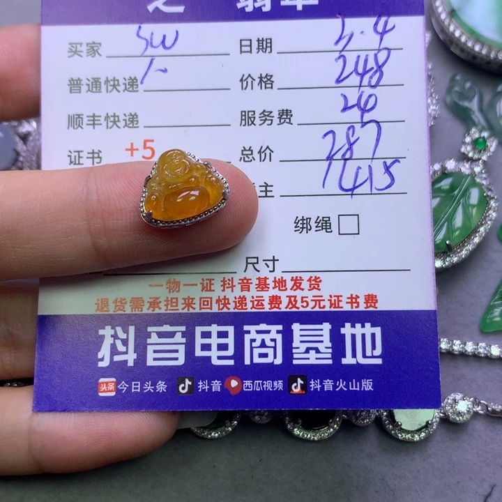 翡翠颈饰银S925镶嵌S****宝
