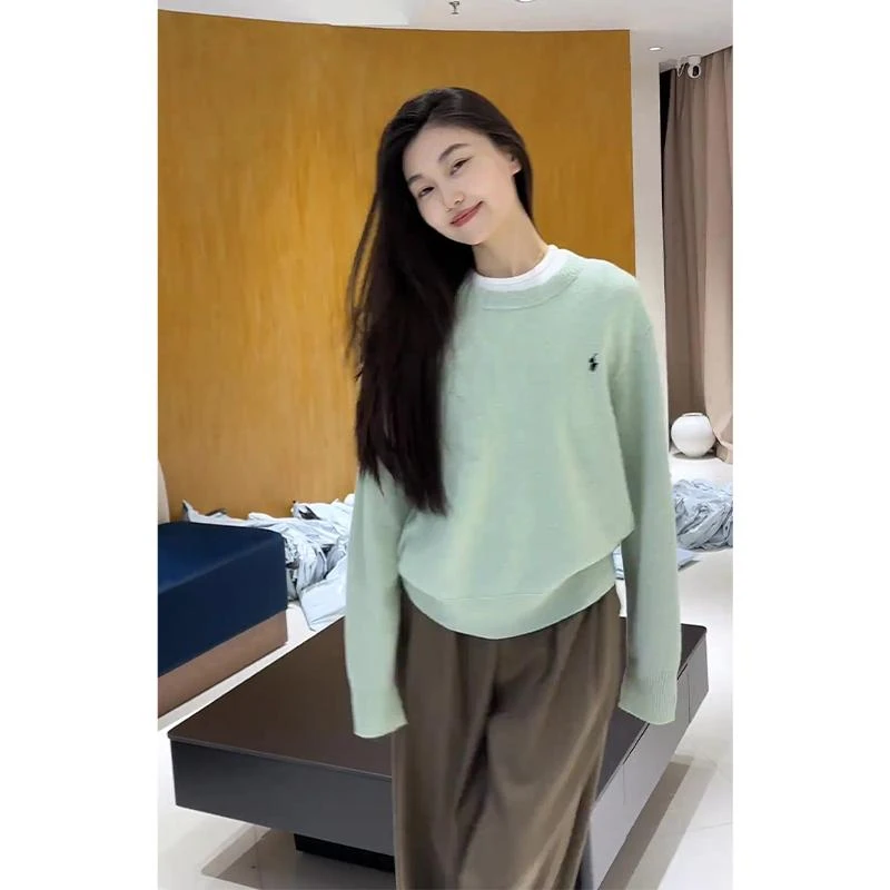 2025秋季新款女韩系穿搭宽松圆领修身毛衣百搭简约胖mm巨显瘦上衣