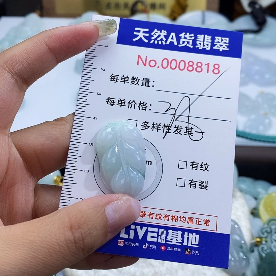 翡翠未镶嵌颈饰3818