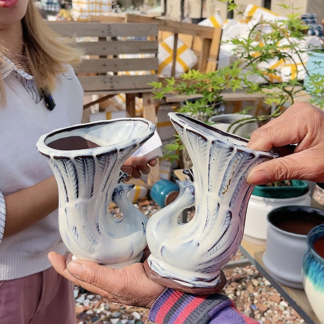 王嫂花盆直播0425-欧2鸟