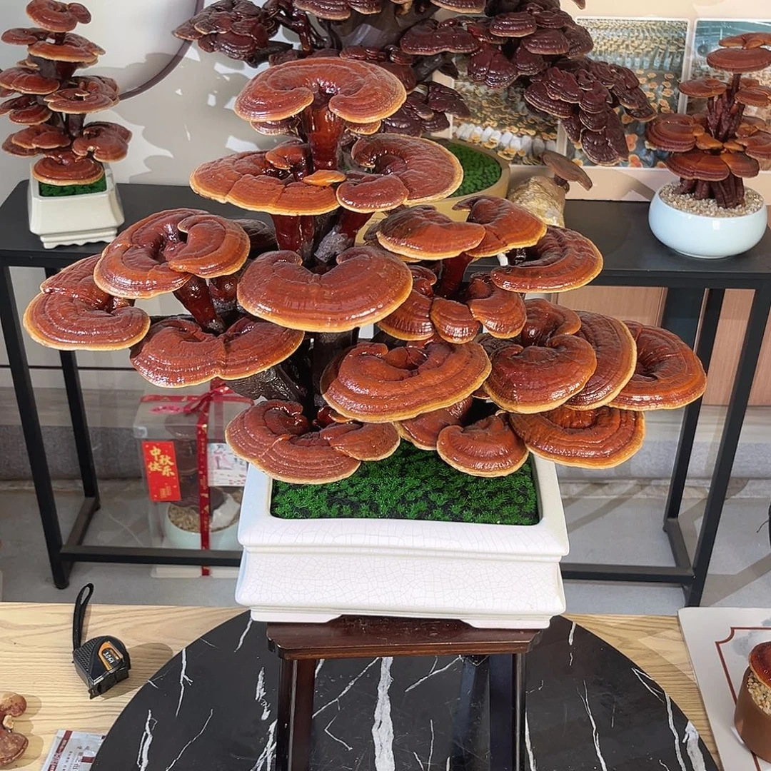 无花朵万事如意88888888888888