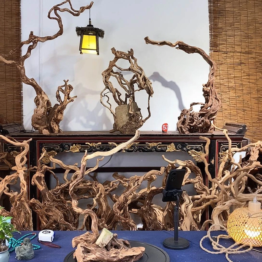 走***起香榧木好喜欢这个造型哦