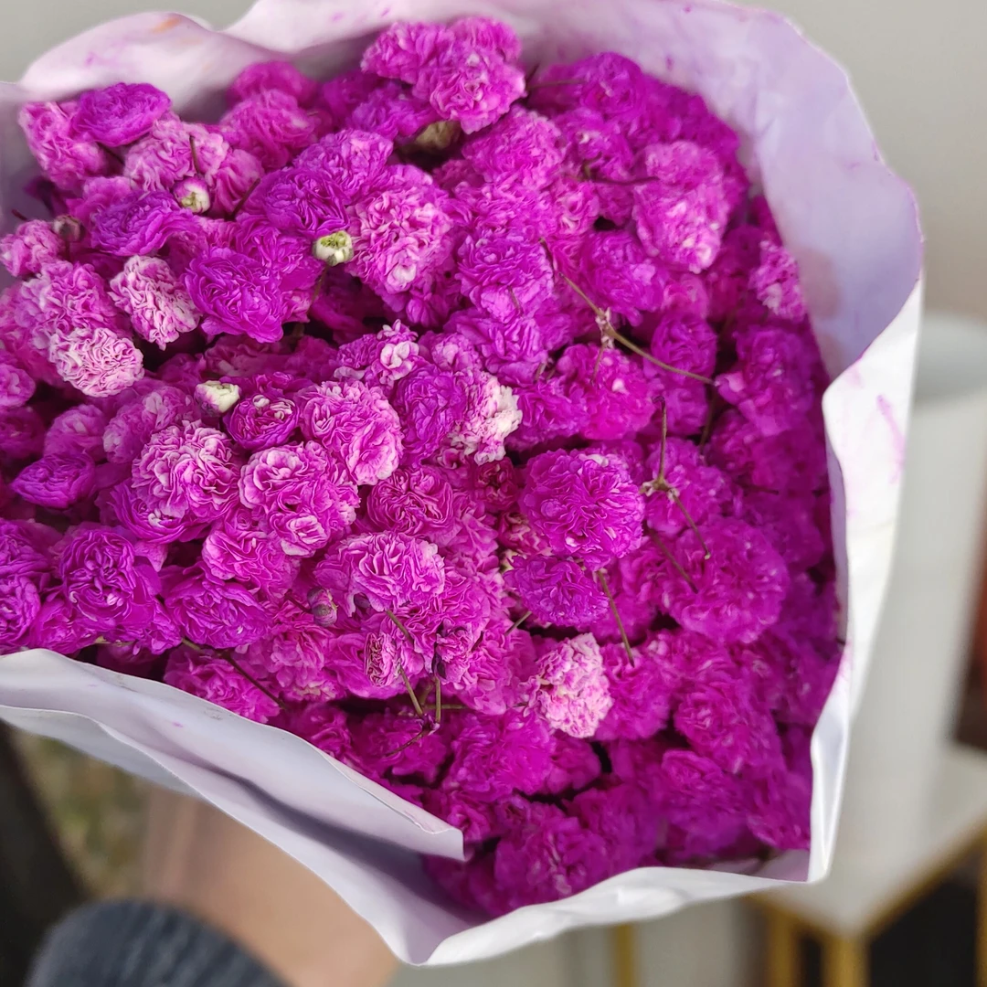 【满天星】满天星家居花生活鲜花