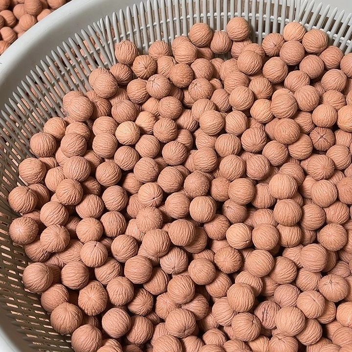 猴头核桃手串苹果王100颗