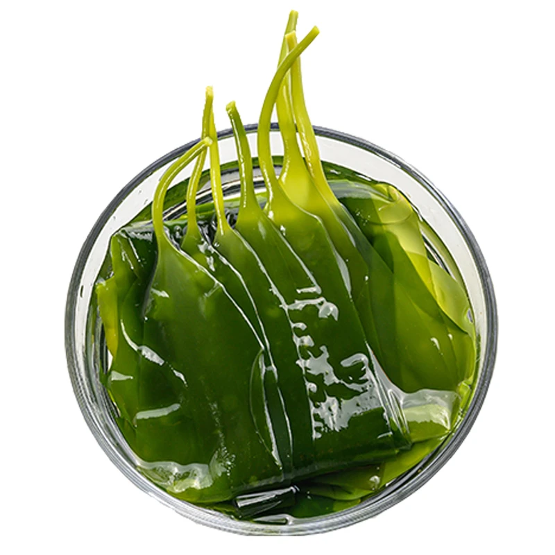 渔佃霞浦特产海带嫩苗200g*6袋优质美味凉拌火锅煲汤