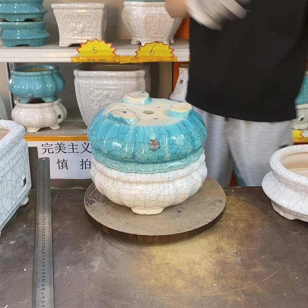 意*轩花盆花盆里的花都