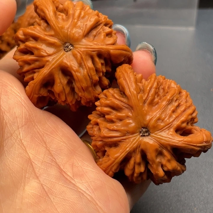 雪***炭文玩核桃吊坠白狮子