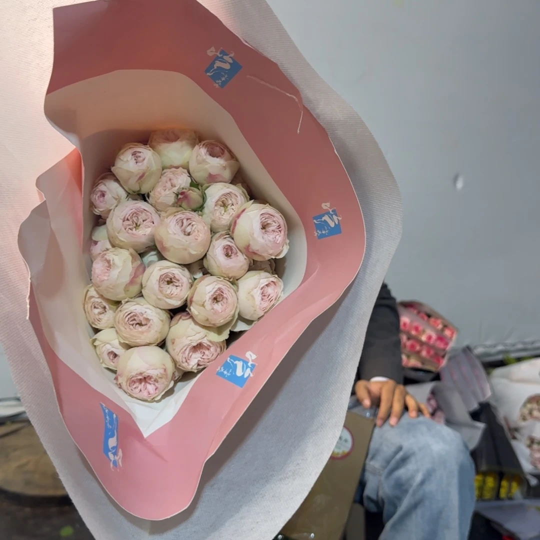 酷皮1扎包邮价秒杀