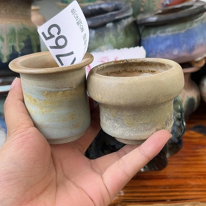 重庆小燕子欢迎大家765