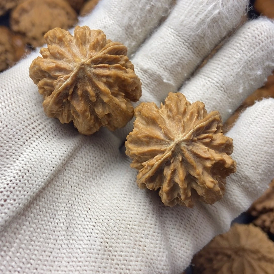 桃核把件秦岭核桃小手捻33