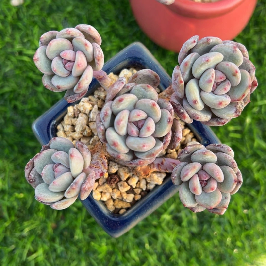 hhfhhhhhhjjhjjjjnjhh