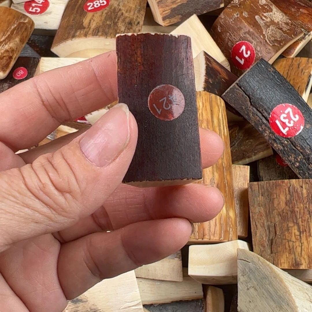 泥塑辰****艺猛犸制品有限公司