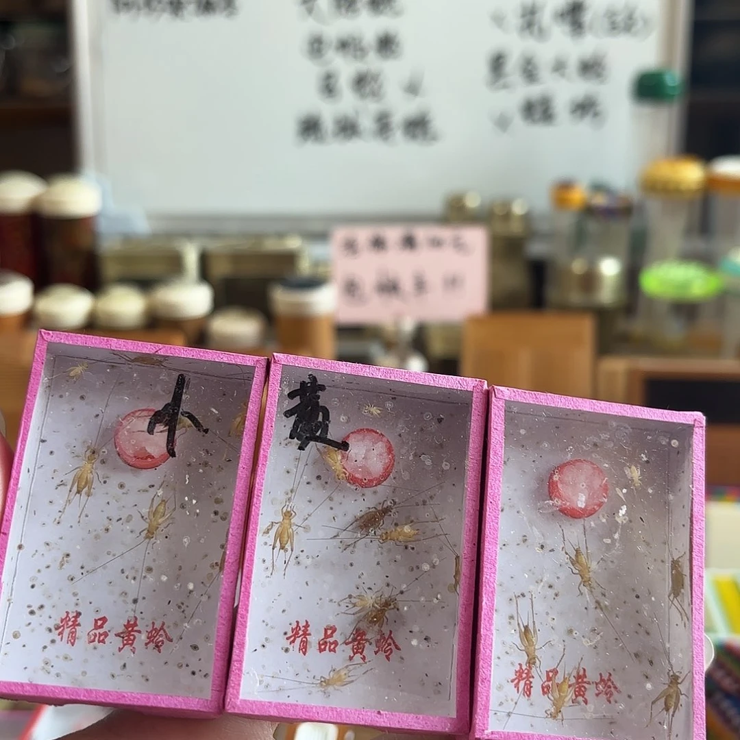 三盒小黄 一盒5条