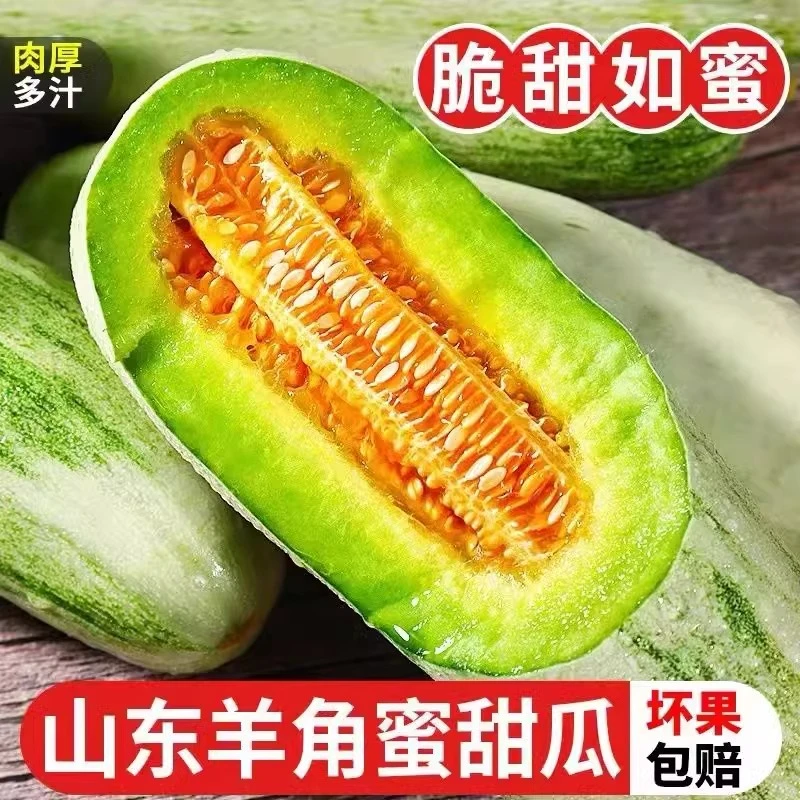 山东羊角蜜甜瓜新鲜水果应季脆甜蜜瓜香瓜时令羊角脆整箱包邮