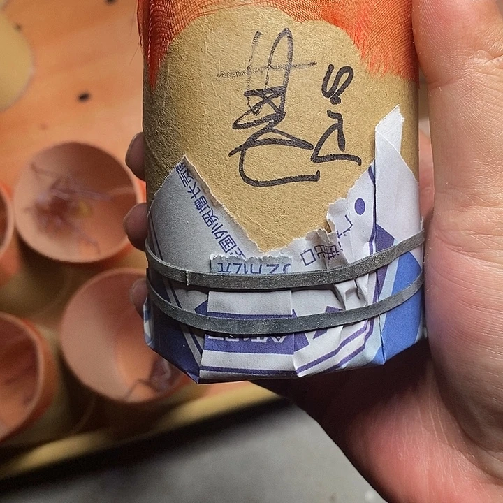 甚***念天津杨鹏聚炮筒两个