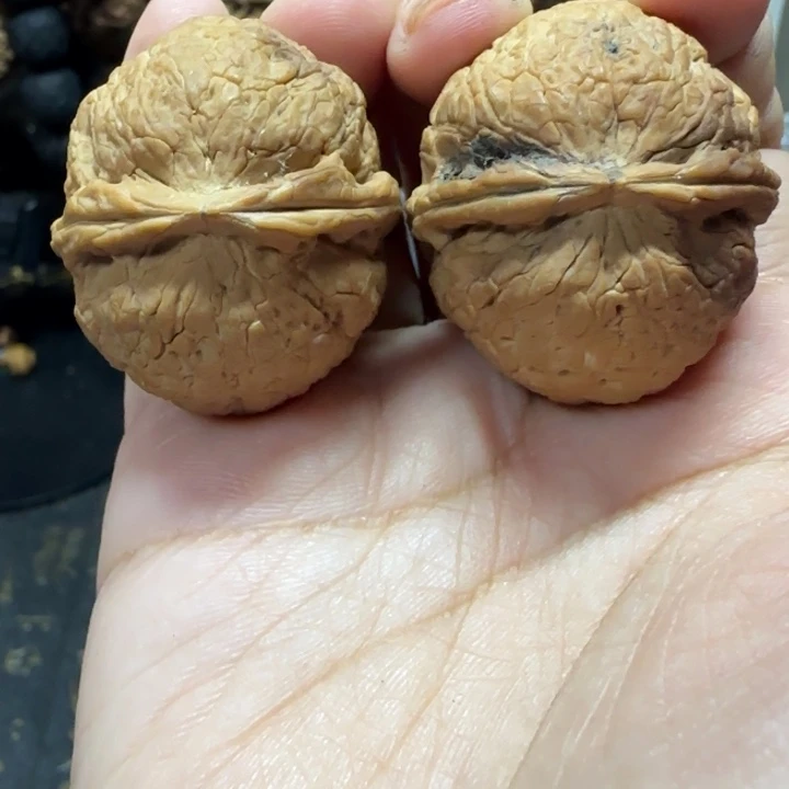 好***u文玩核桃吊坠恐龙蛋